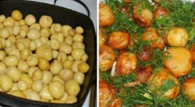 Что приготовить из молодого картофеля: 5 обалденных блюд
