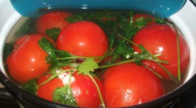 Квашенные помидорчики в кастрюле – таких вы еще не пробовали