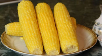 Как правильно варить кукурузу