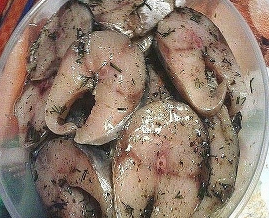 Сагудай из скумбрии