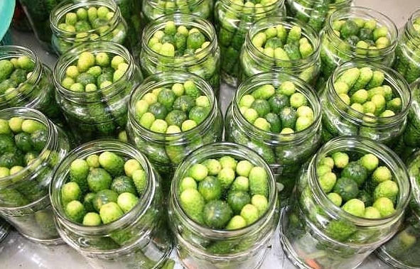 МАРИНОВАННЫЕ ОГУРЦЫ «ПО-ДЕТСКИ»