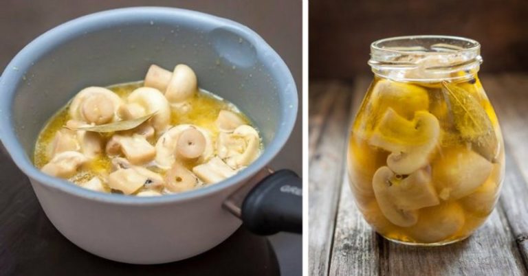 Экспресс-рецепт маринованных грибов, которые тут же сметут со стола