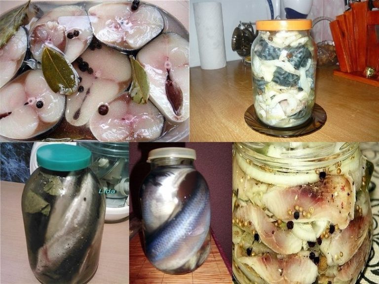 Все самое лучшее. Рецепты домашнего посола скумбрий, сельди, кильки или мойвы