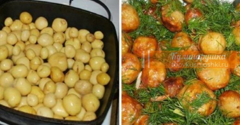 Что приготовить из молодого картофеля: 5 обалденных блюд