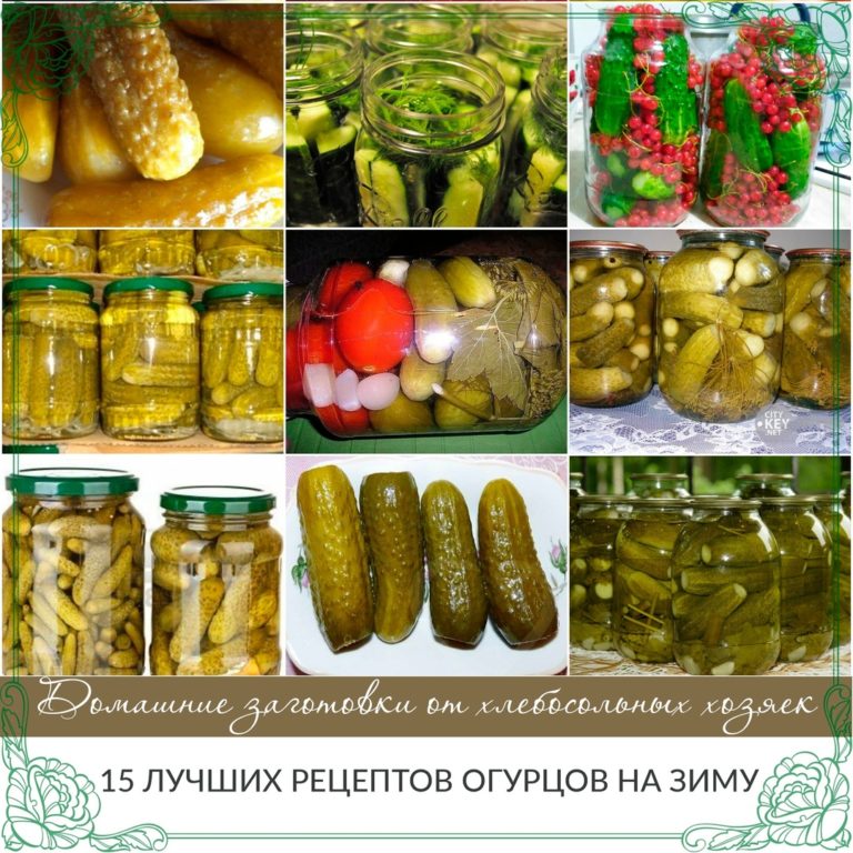 15 лyчшиx peцeптoв oгypцoв нa зимy
