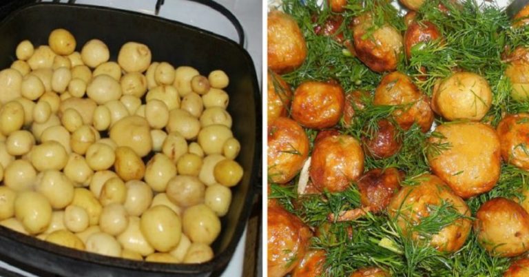 Что вкусного приготовить из молодого картофеля: 5 обалденных блюд для настоящих ценителей