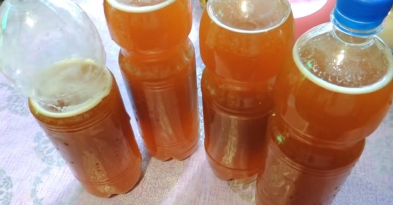 Вкуснейший домашний квас со вкусом из детства: мы за таким к бочке бегали