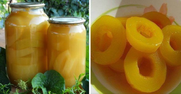 Классические ананасы из обычных кабачков: попробуй отличи от настоящих