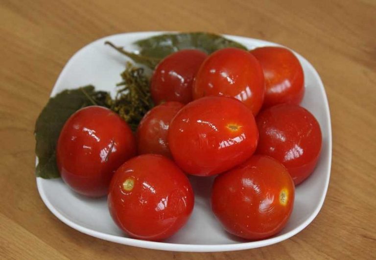 Квашеные помидоры на зиму в кастрюле, ведре и банках: вкуснятина