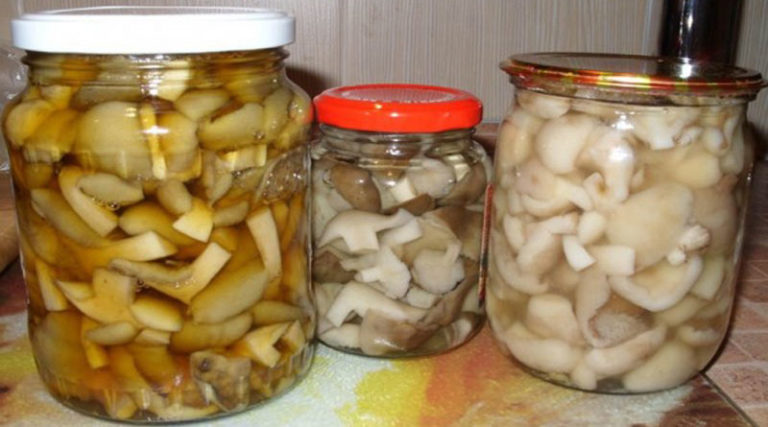 Самый вкусный рецепт маринования грибов