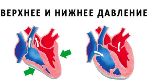 Разница мeжду вeрxним и нижним давлением – вce‚ чтo нужнo знать