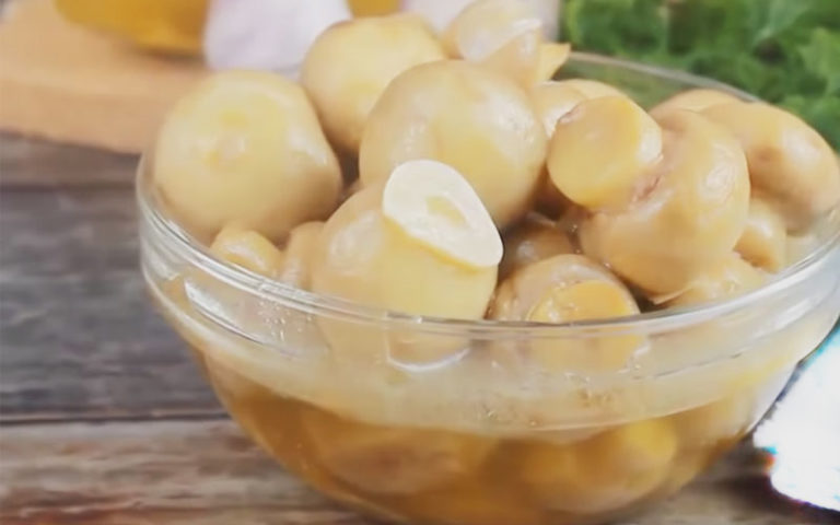 Закуска из грибов на праздник: Быстро и очень вкусно