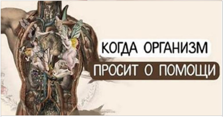 Когда организм просит о помощи: 15 важных сигналов