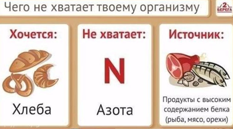 Таблица по питанию: чего не хватает организму