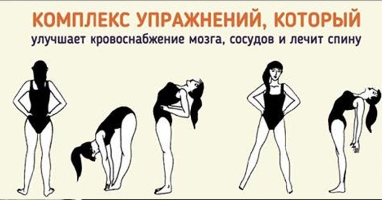 Эти простые упражнения выпрямляют позвоночник и улучшают кровоснабжение мозга