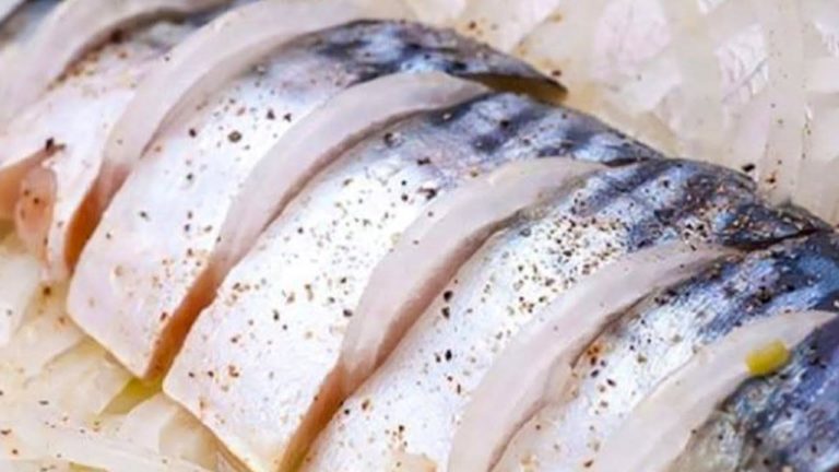 Рецепт соленой скумбрии