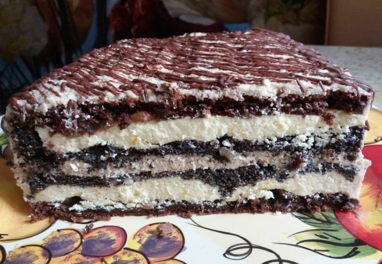 Торт с разными слоями из мака, творога, шоколада