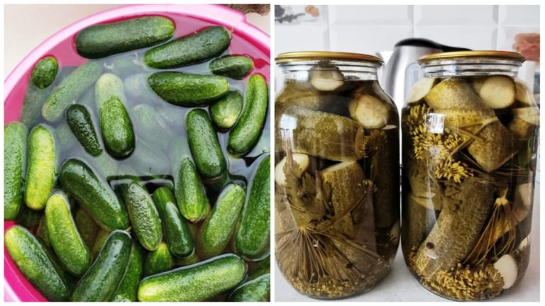 Простой рецепт вкусных и хрустящих огурчиков