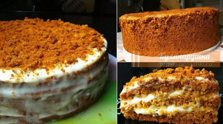 Бисквитный торт «Медовый». Нежный, вкусный и приготовить легко