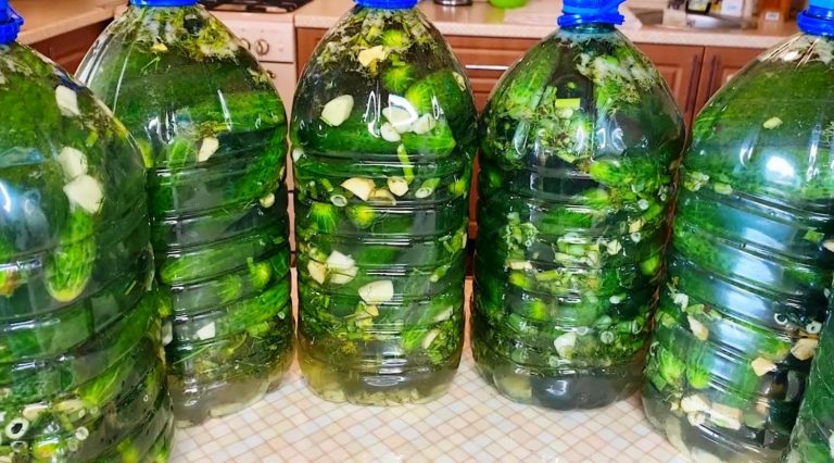 Хрустящие бочковые огурцы в домашних условиях