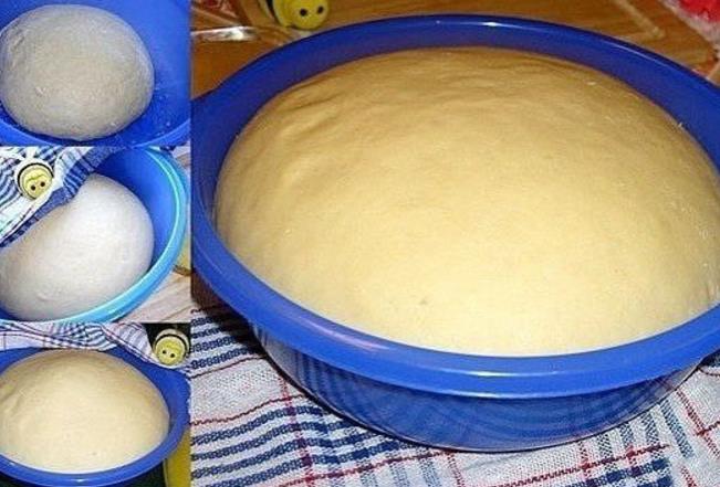 Дрожжевое медовое тесто