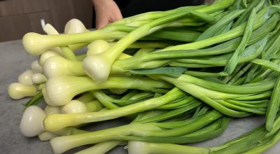 Паста из зелёного лука.  Простая и вкусная приправа, которая хранится до 1 года