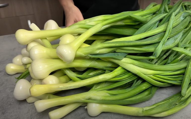 Паста из зелёного лука.  Простая и вкусная приправа, которая хранится до 1 года