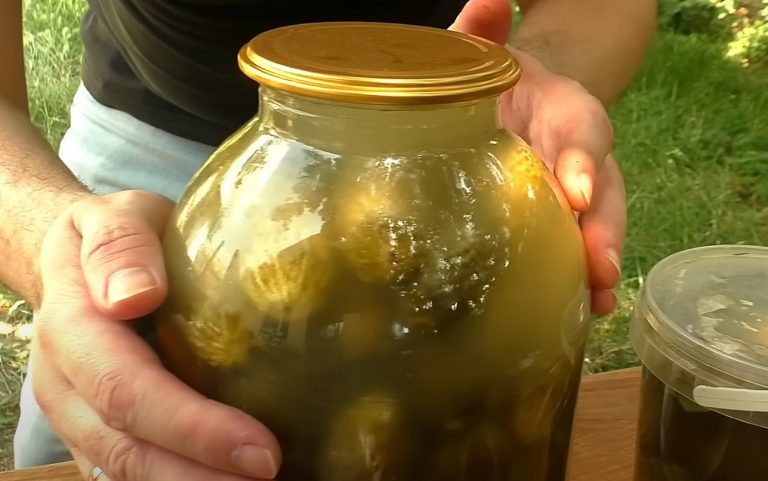 Ароматные квашеные огурчики на зиму без уксуса и сахара